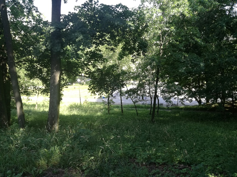 IMG 20190626 102432