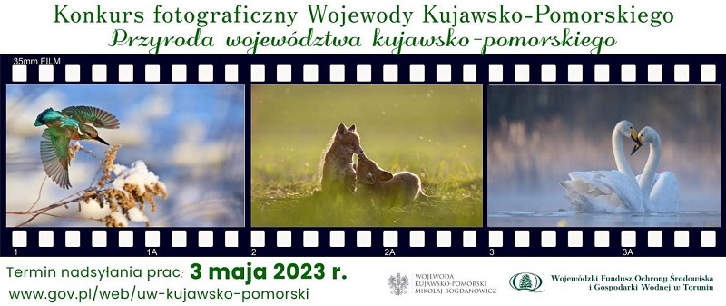 konkurs fotograficzny