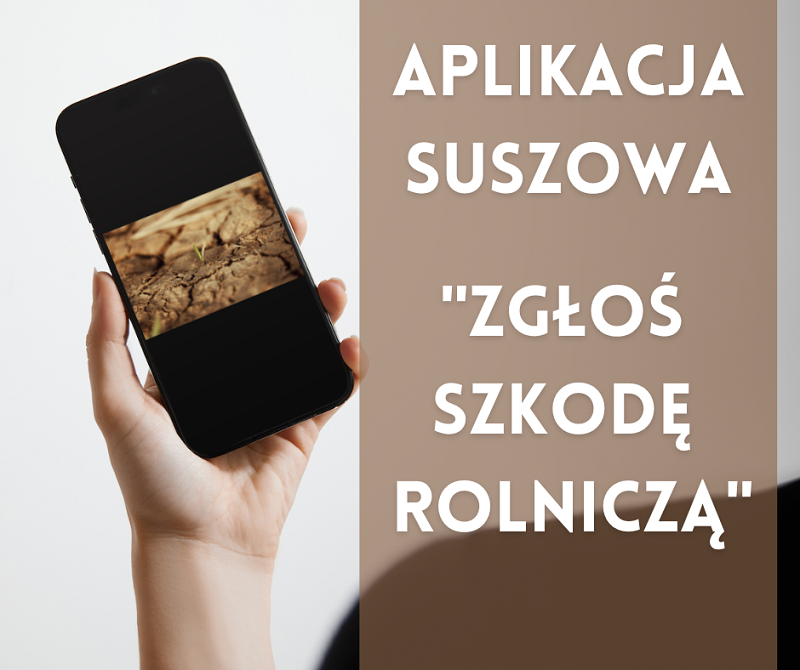 aplikacja suszowa